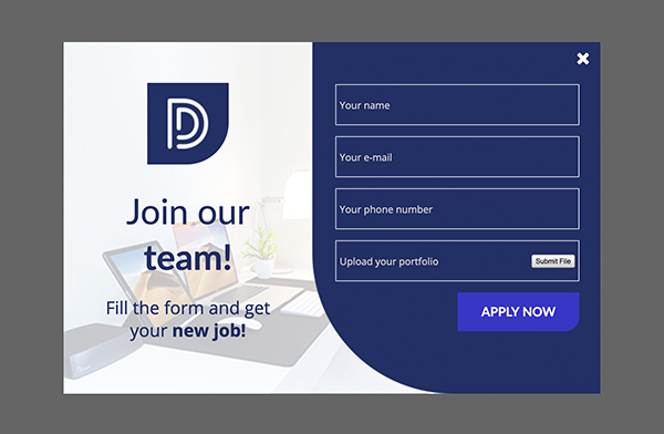 Developer Wanted