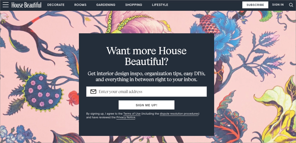 landing page form example